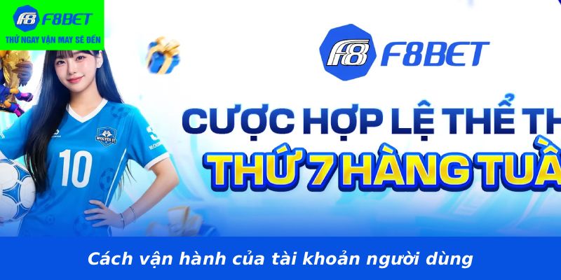 Cách vận hành của tài khoản người dùng