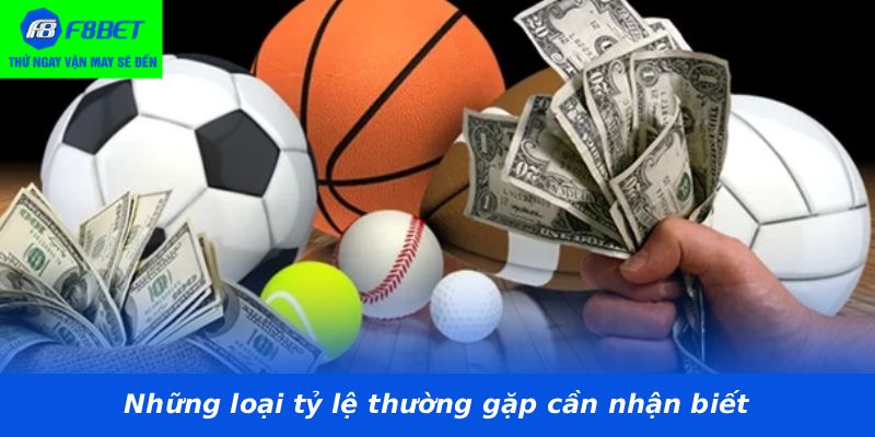 Những loại tỷ lệ thường gặp cần nhận biết