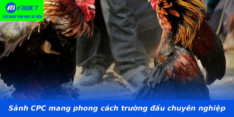 Sảnh CPC mang phong cách trường đấu chuyên nghiệp